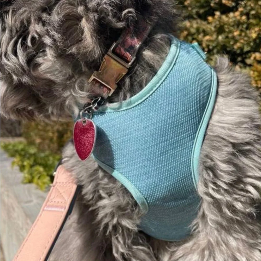 EVERY YAY Padded Mesh No Pull Turquoise Teal Blue Dog Harness 🐶 LARGE 🐶 NWT